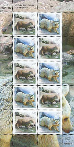 Фауна Армения 2009 год серия из 2-х марок в листе