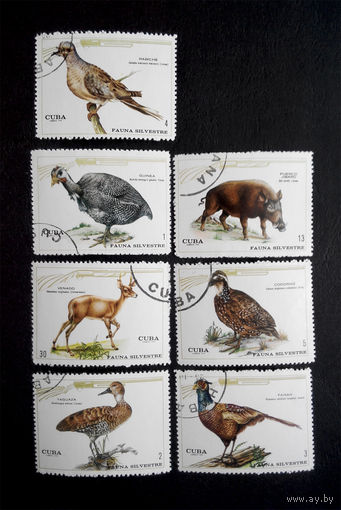 Куба 1970 г. Дикие животные. Фауна. полная серия из 7 марок #0042-Ф1