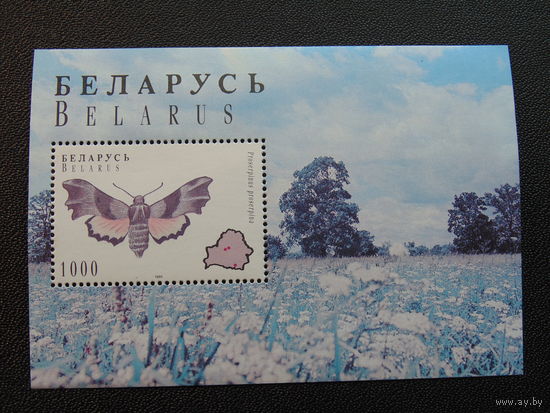 Беларусь 1996 год. Бабочки.