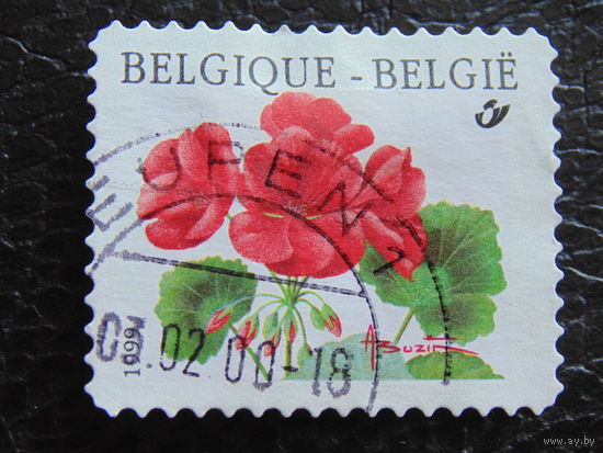 Бельгия 1999 г. Флора.