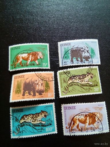Гвинея 1962г Фауна  Млекопитающие 6м полная  серия