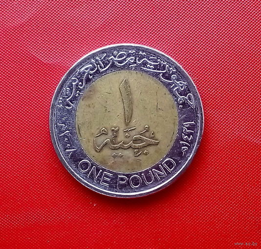 43-13 Египет, 1 фунт 2008 г.