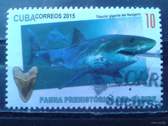 Куба 2015 Акула