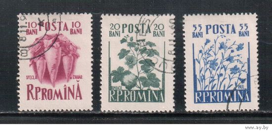 Румыния-1955, (Мих.1547-1549) гаш.  , Флора