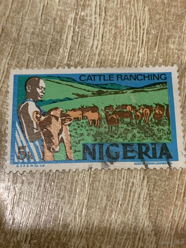 Нигерия. Cattle ranching. Полная серия