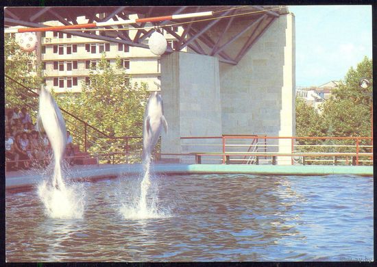 ДМПК СССР 1987 Батуми дельфинарий