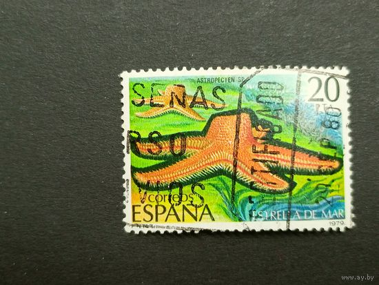 Испания 1979. Беспозвоночные