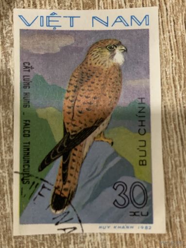 Вьетнам 1982. Хищные птицы. Falco tinnunculus. Марка из серии