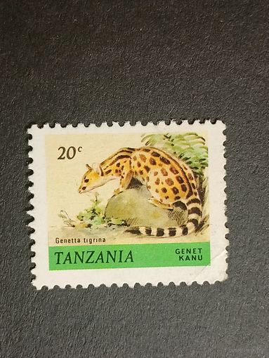 Танзания 1980. Тигр