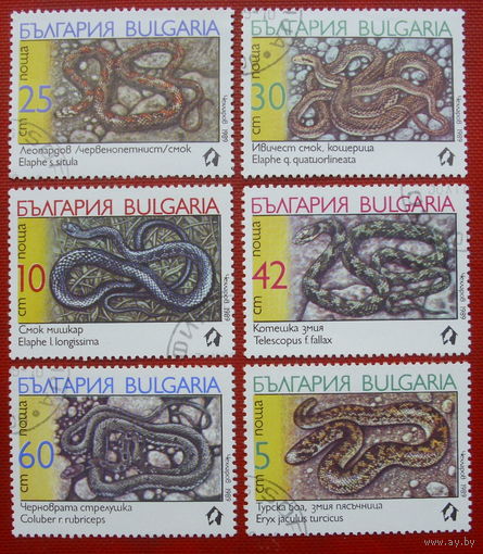 Болгария. Змеи. ( 6 марок ) 1989 года. 4-6.