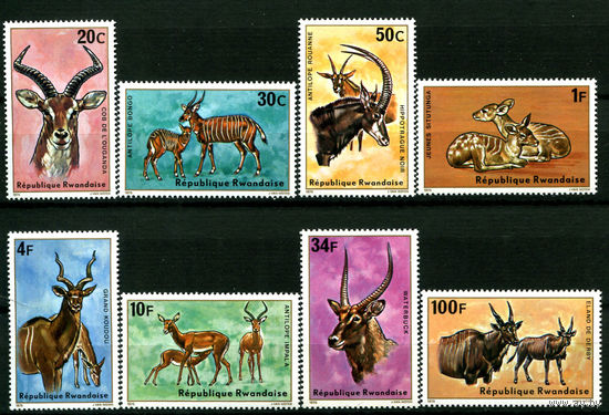 Руанда - 1975г. - Антилопы - полная серия, MNH [Mi 673-680] - 8 марок