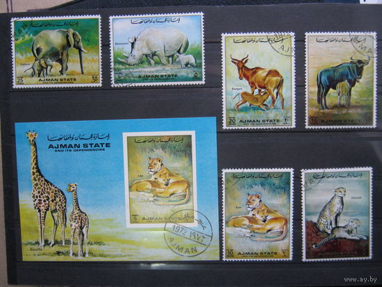 Марки - фауна, Аджман, блок и 6 марок дикие кошки лев слон носорог жираф и др.