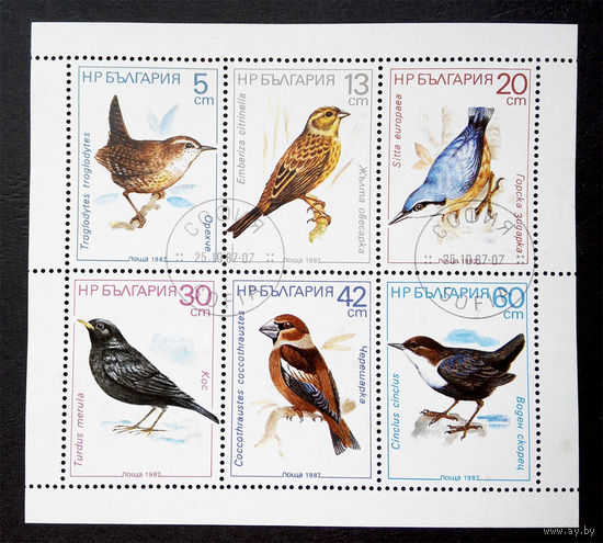 Болгария 1987 г. Певчие птицы. Фауна, полная серия из 6 марок, сцепка #0217-Ф1P50