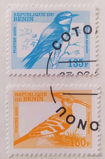 Бенин 2000, Птицы