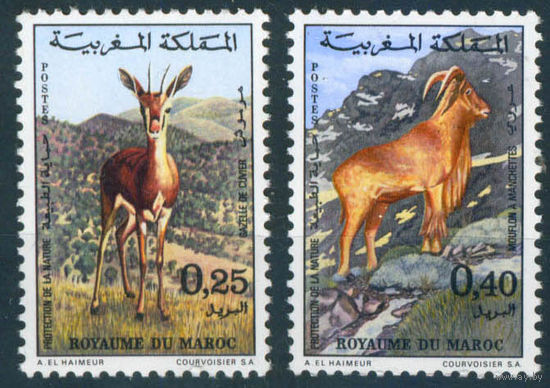 Марокко 1972 Животные фауна Газель Муфлон серия 2м MNH