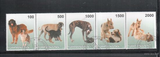 Туркменистан-1998,   гаш., Фауна, Собаки(полная серия)