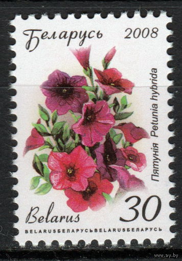 Беларусь 2008 Петуния 12 стандарт мел