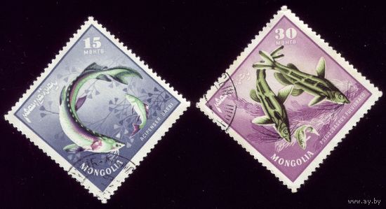 2 марки 1965 год Монголия Рыба 400,402
