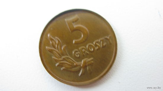 Польша 5 грошей 1949