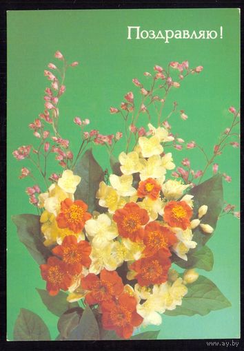 СССР 1989 ДМПК Поздравляю цветы чистая