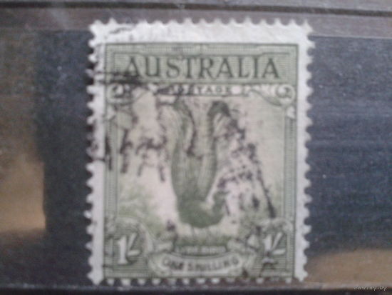 Австралия 1941 Лирохвост