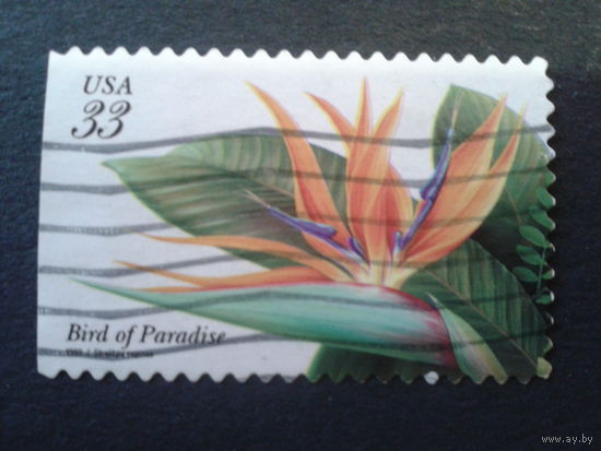 США 1999 тропические цветы