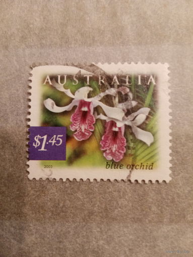 Австралия 2003. Флора. Голубая орхидея
