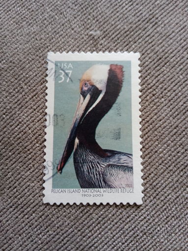 США 2003. Пеликан
