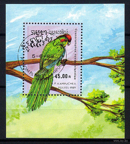 1989 Камбоджа. Попугаи