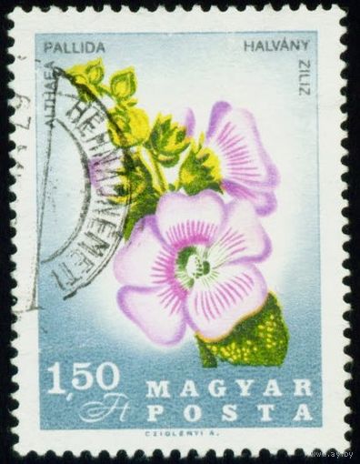 50-летие со дня смерти венгерского ботаника и натуралиста Пала Китайбеля Венгрия 1967 год 1 марка