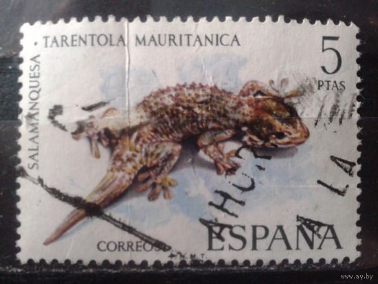 Испания 1974 Фауна, ящерица Михель-0,7 евро гаш