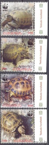 Армения фауна WWF черепаха_1