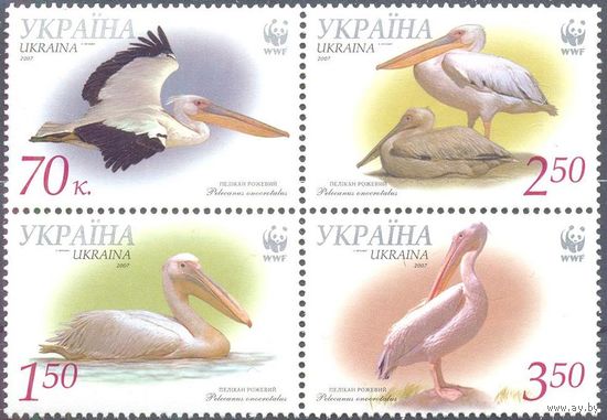 Украина фауна WWF  птицы пеликан