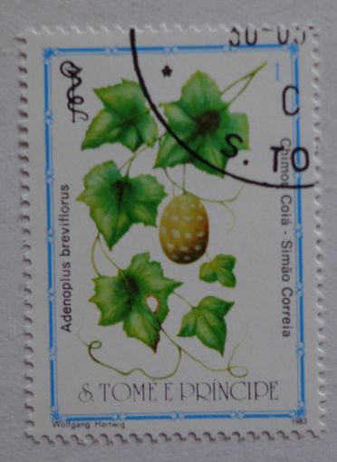 Сан-Томе и Принцип.1983.растения