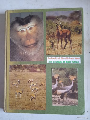 Животные африки.фотоальбом н а англ.языке