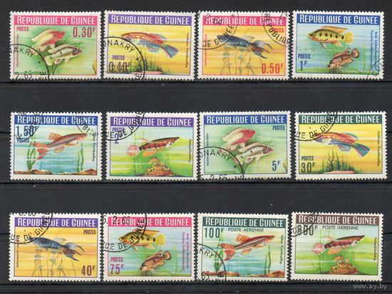 Рыбы Гвинея 1964 год серия из 12 марок