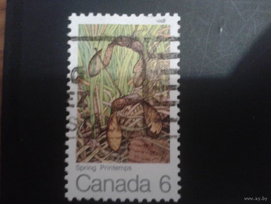 Канада 1971 поле