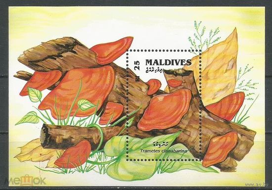 Мальдивы (Мальдивские острова) 1992 г. Флора, грибы. MNH