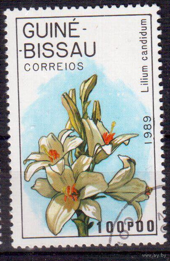 Гвинея-Бисау 1989 Флора Цветы Орхидеи.