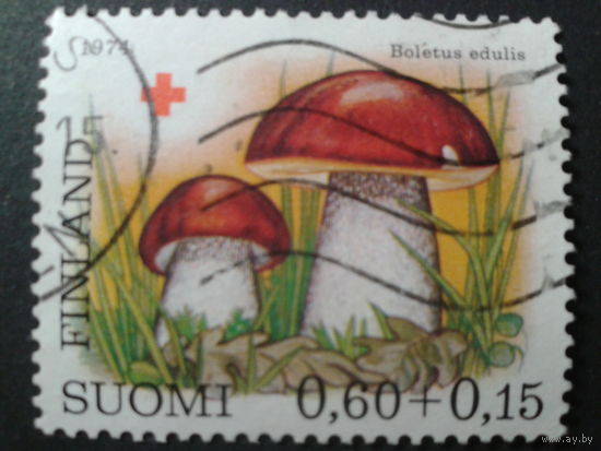 Финляндия 1974 Кр. крест, белый гриб