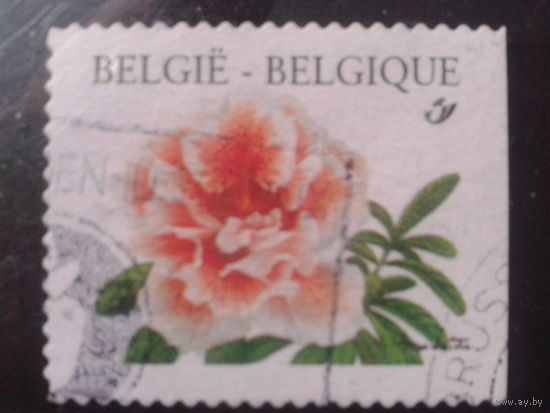 Бельгия 1997 Стандарт, цветы, марка из буклета, обрез справа