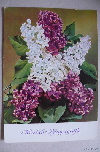 Цветы; 1973, подписана (ГДР).