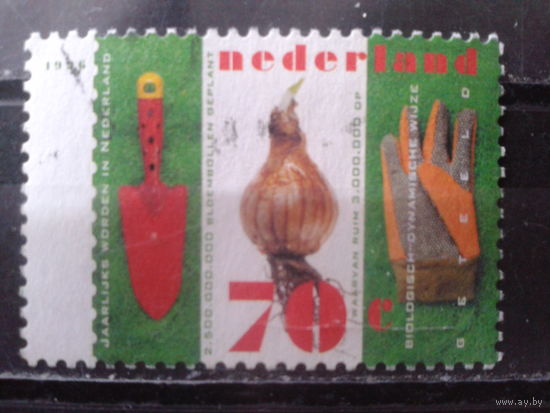 Нидерланды 1996 Огородничество, лук