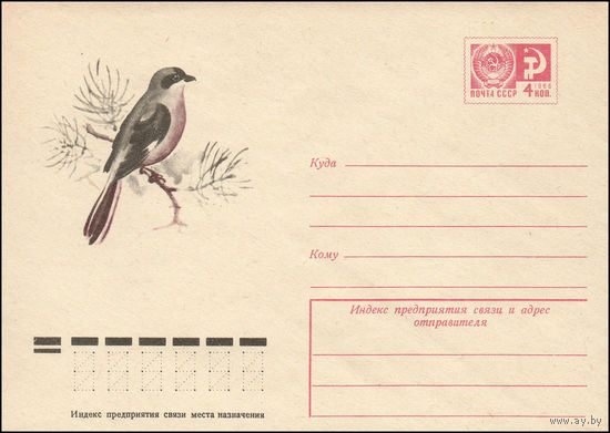 Художественный маркированный конверт СССР N 9452 (04.02.1974) [Чернолобый сорокопут]