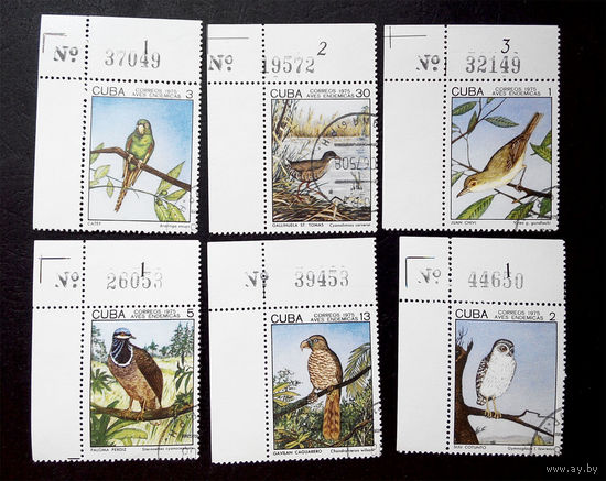 Куба 1975 г. Птицы. Фауна. полная серия из 6 марок #0001-Ф2P1
