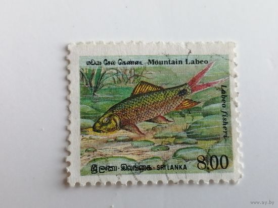 Шри Ланка 1990. Рыбы.