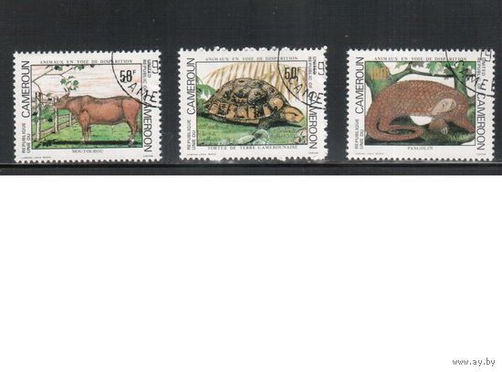 Камерун-1981, (Мих.951-953),  гаш. , Фауна, Черепахи(полная серия)