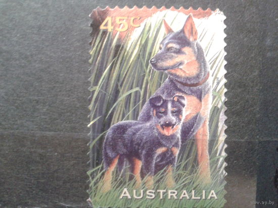 Австралия 1996 Собаки