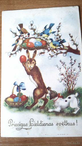 Пасхальный заяц с яйцами от Адольфа Алоизевича Шикльгрубера.