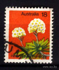 1975 Австралия. Растения